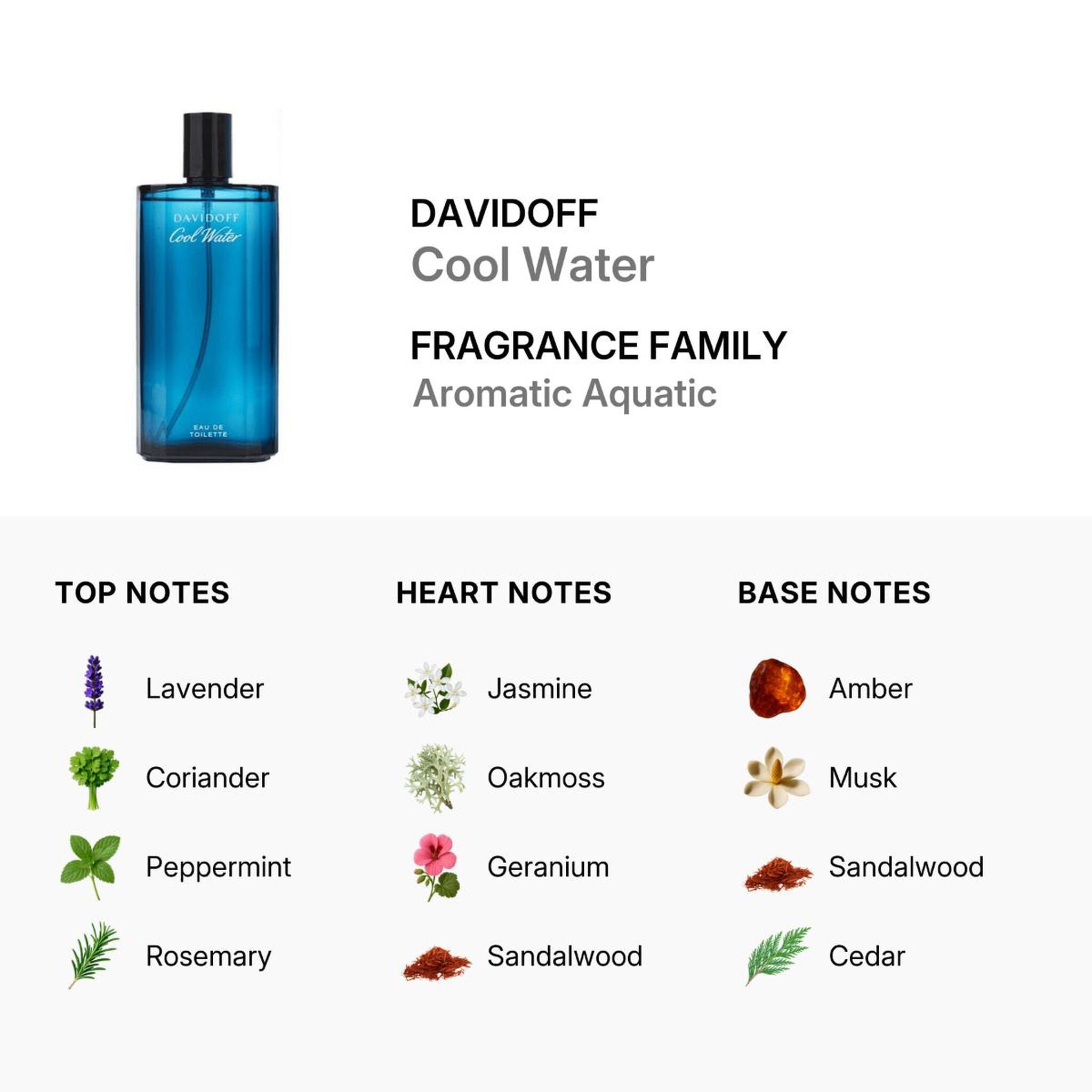 Davidoff Cool Water for Men Eau de Toilette by Davidoff at Tivor Egypt - product image 3