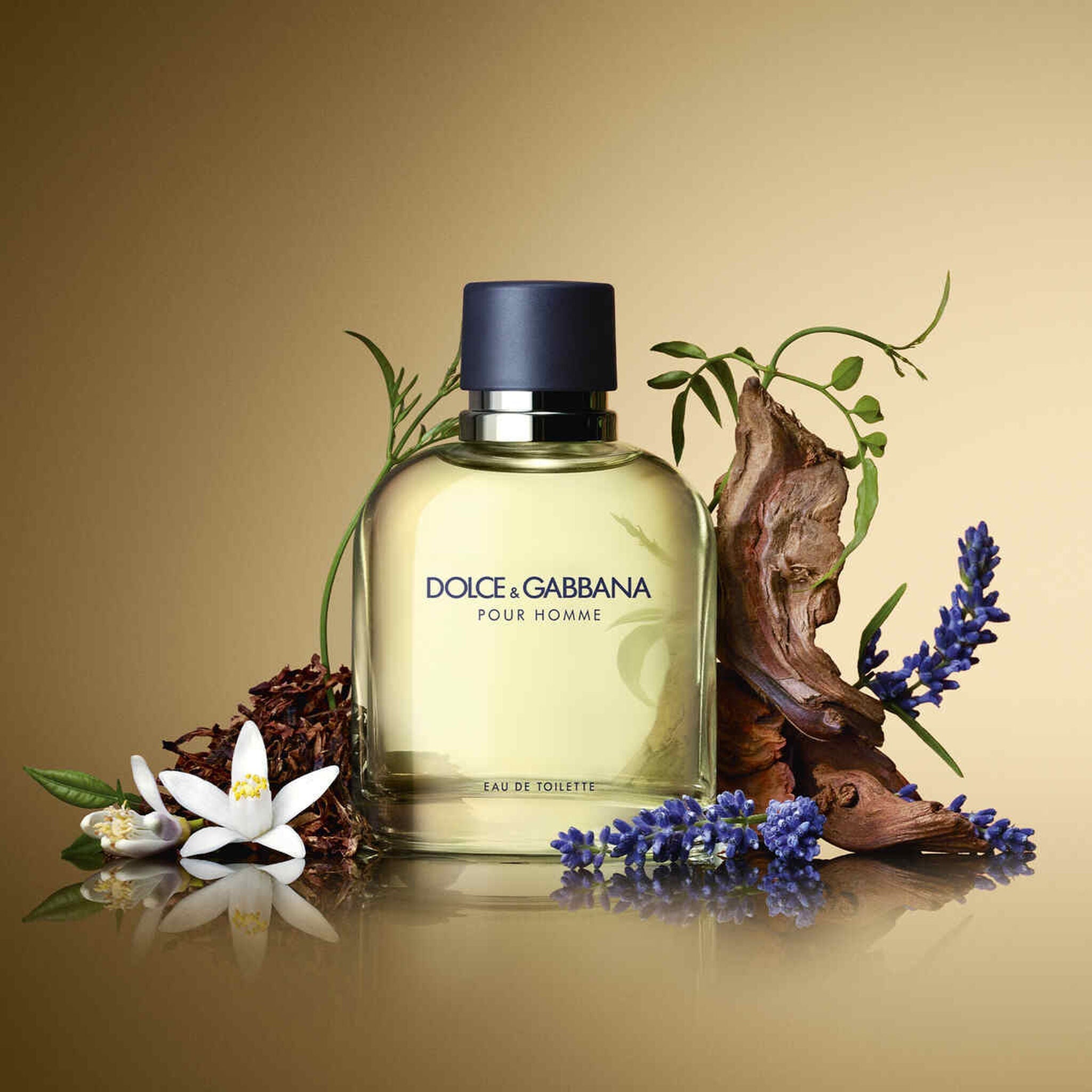 Dolce & Gabbana PH Eau de Toilette by Dolce & Gabbana at Tivor Egypt - product image 3