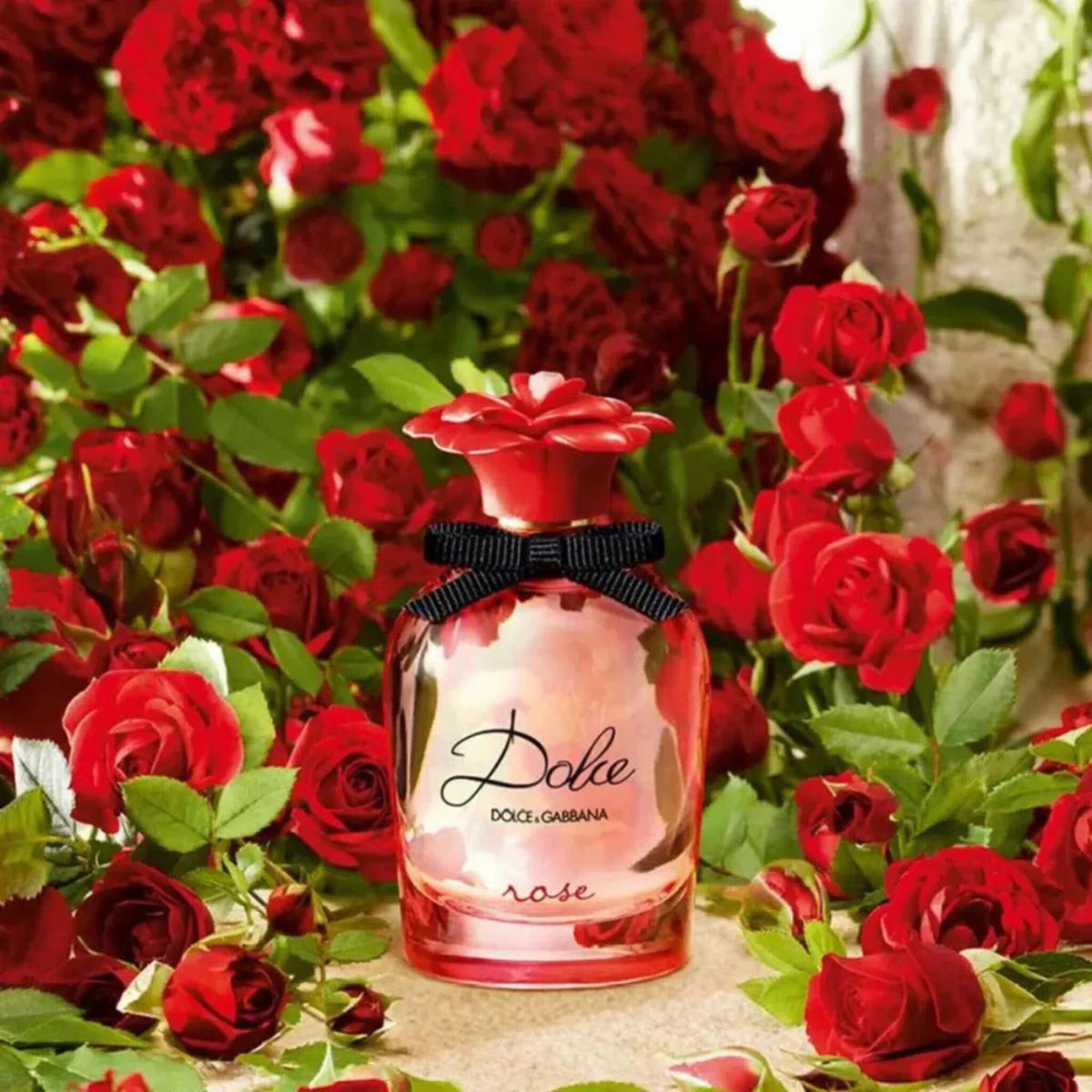 Dolce & Gabbana Dolce Rose Eau de Toilette by Dolce & Gabbana at Tivor Egypt - product image 3