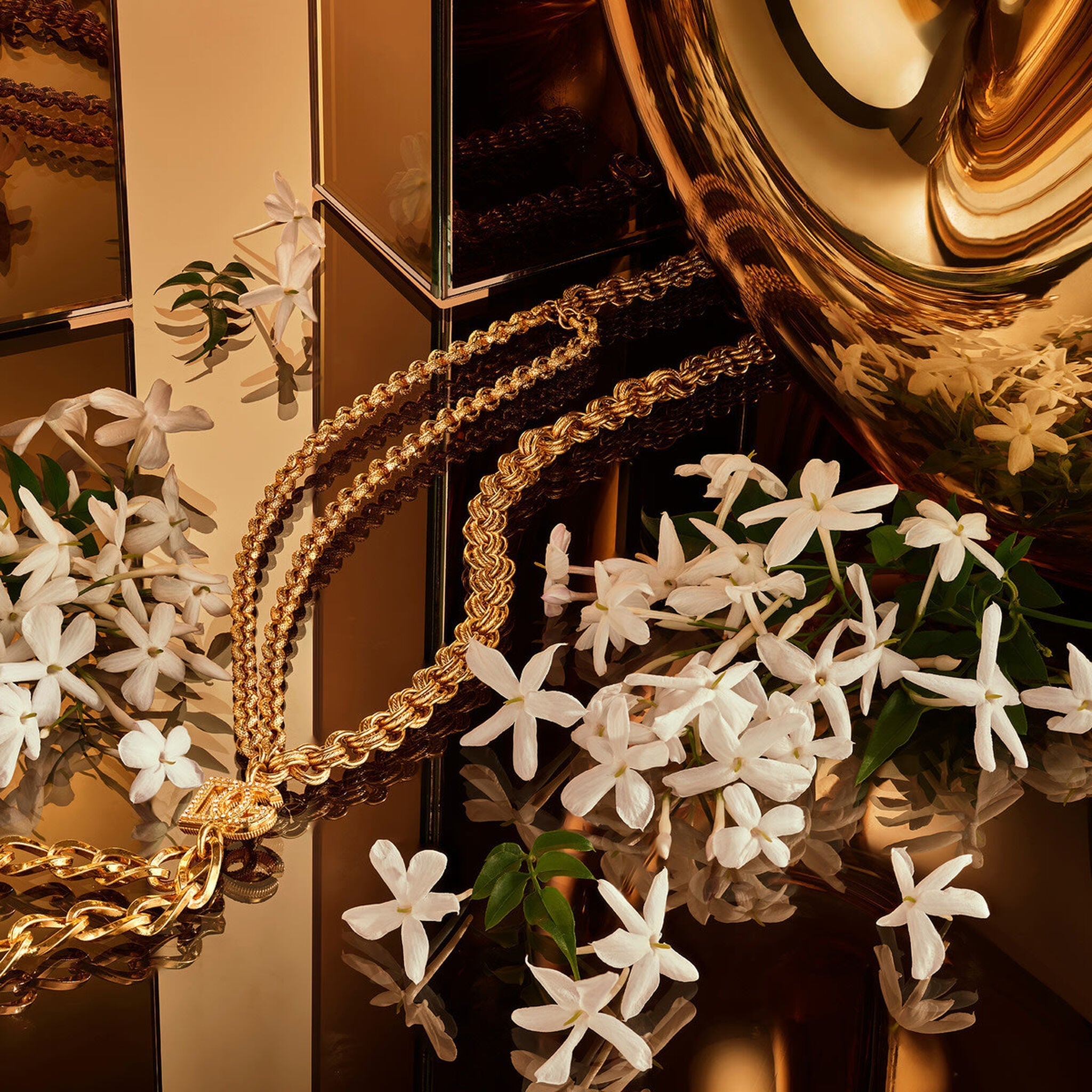 Dolce & Gabbana The One Gold by Dolce & Gabbana at Tivor Egypt - product image 8