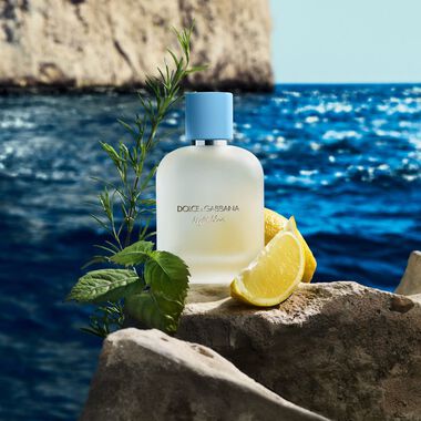 Dolce & Gabbana Light Blue Capri In Love - 100ml - Dolce & Gabbana