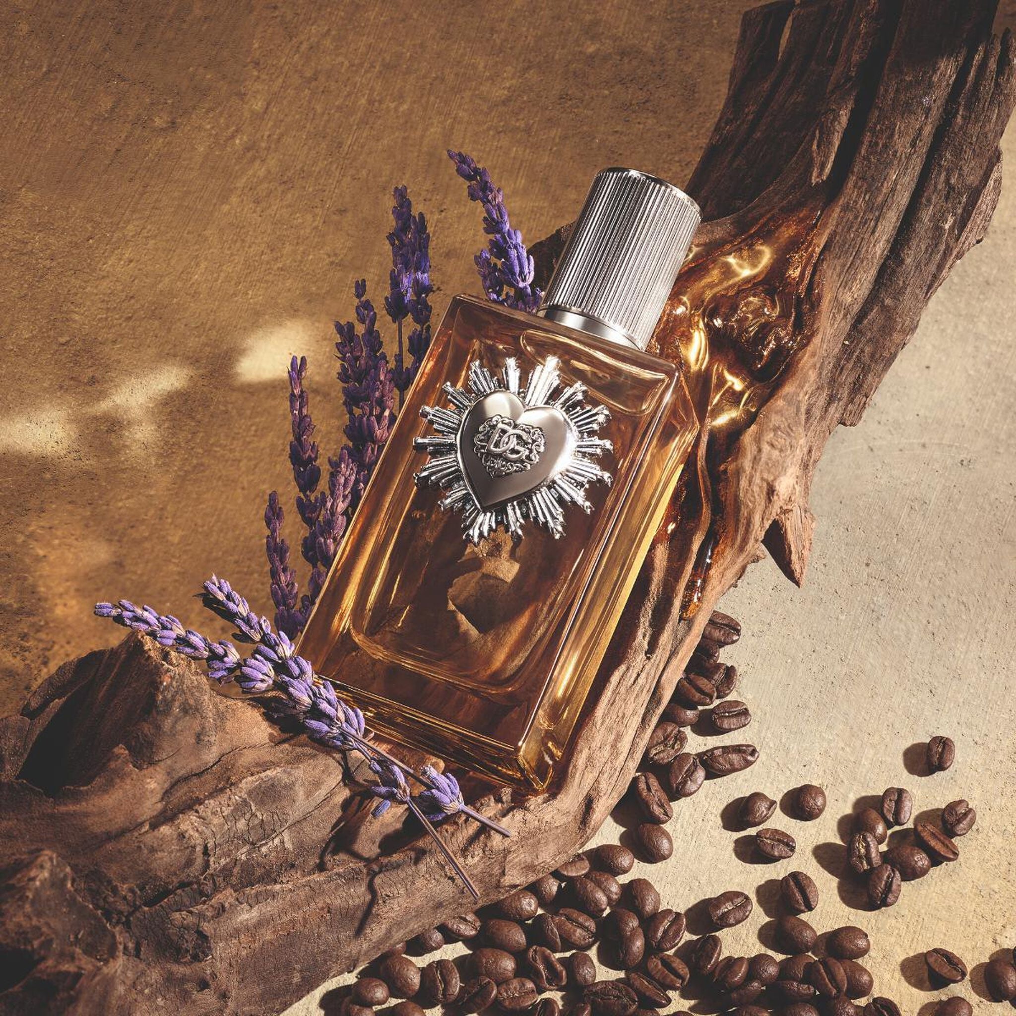 Dolce & Gabbana Devotion by Dolce & Gabbana at Tivor Egypt - product image 3