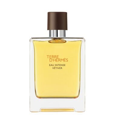 Hermès Terre d'Hermès Eau Intense Vétiver Eau de Parfum - 100ml - Hermès