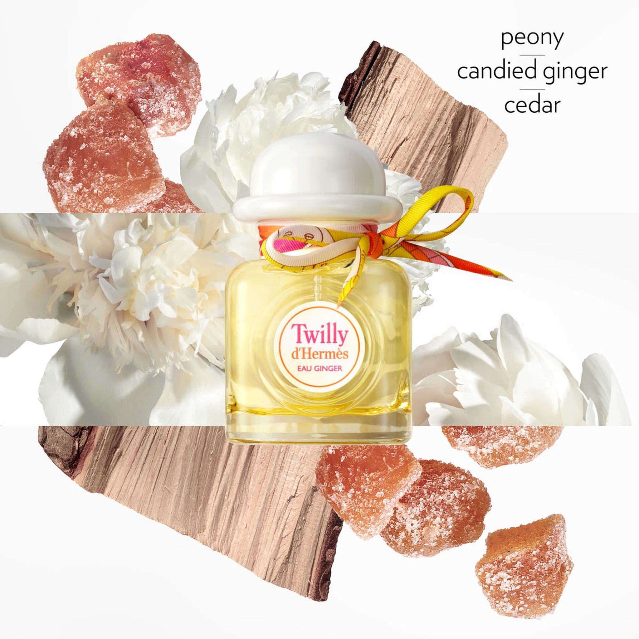 Hermès Twilly Eau Ginger Eau de Parfum by Hermès at Tivor Egypt - product image 4