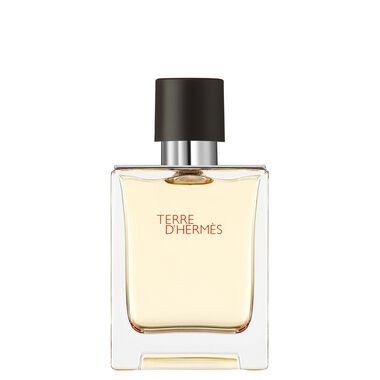 Hermès Terre d'Hermès Eau de Toilette - 50ml - Hermès