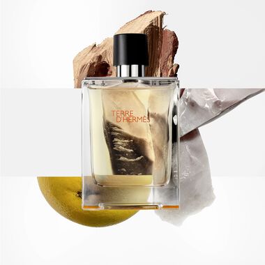 Hermès Terre d'Hermès Eau de Toilette - 50ml - Hermès