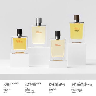 Hermès Terre d'Hermès Eau de Toilette - 50ml - Hermès