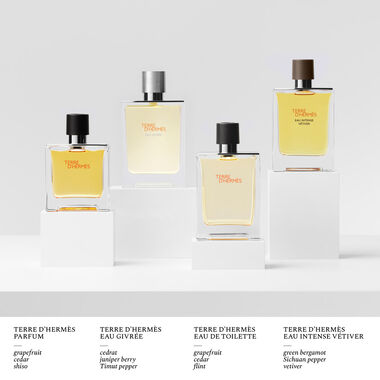 Hermès Terre d'Hermès Parfum - 200ml - Hermès