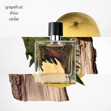 Hermès Terre d'Hermès Parfum - 200ml - Hermès