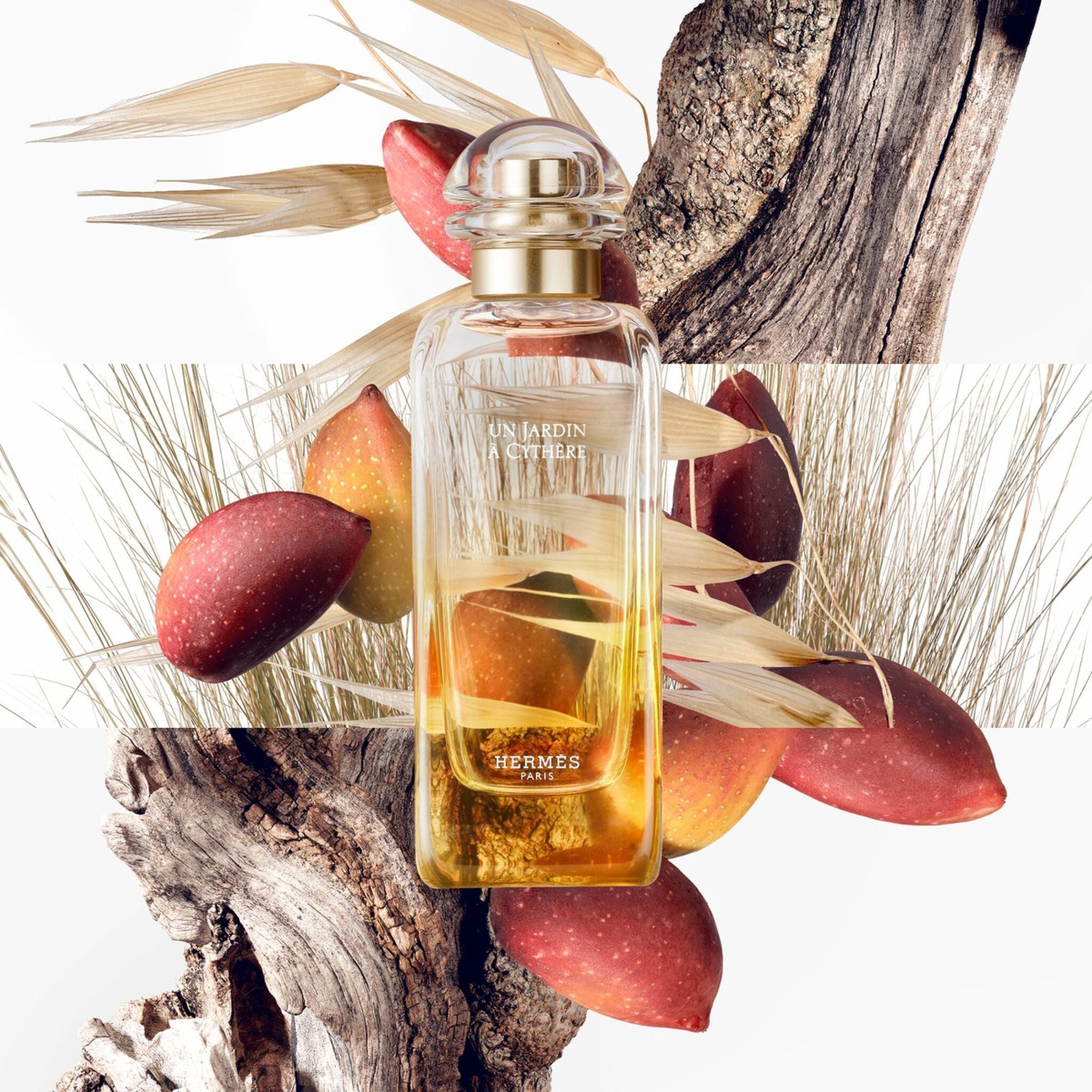 Hermès Un Jardin À Cythère Eau de Toilette by Hermès at Tivor Egypt - product image 4