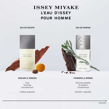 Issey Miyake L'Eau d'Issey Pour Homme Eau de Toilette 200ml - Issey Miyake