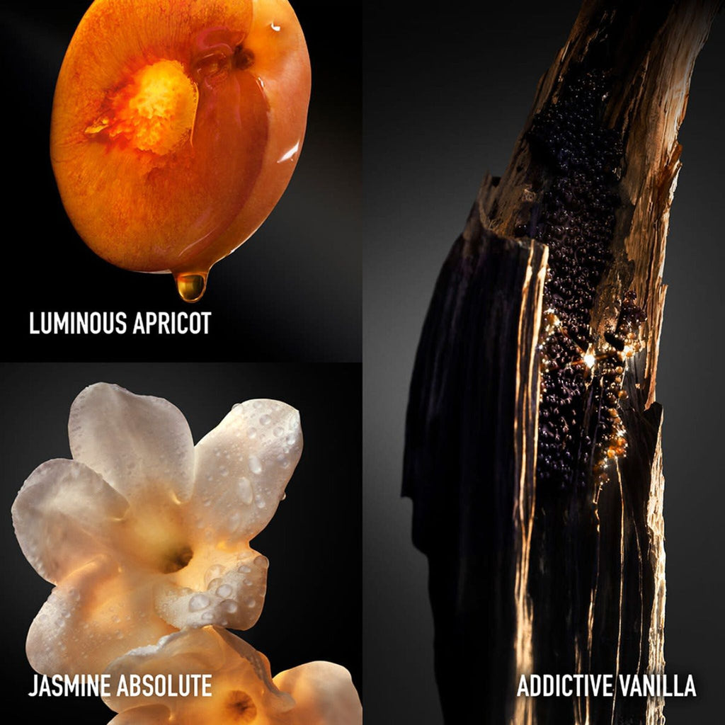 Rabanne Olympéa Absolu Parfum Intense by Rabanne at Tivor Egypt - product image 4