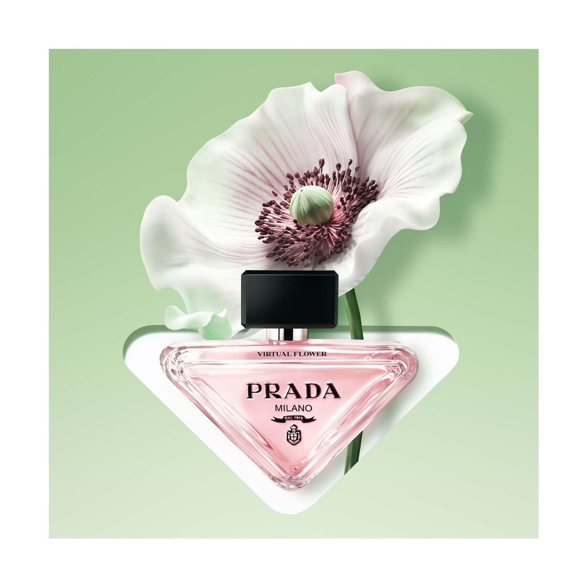 Prada Paradoxe Virtual Flower by Prada at Tivor Egypt - product image 2