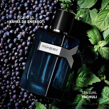 Yves Saint Laurent Y EDP INTENSE - 100ml - Yves Saint Laurent