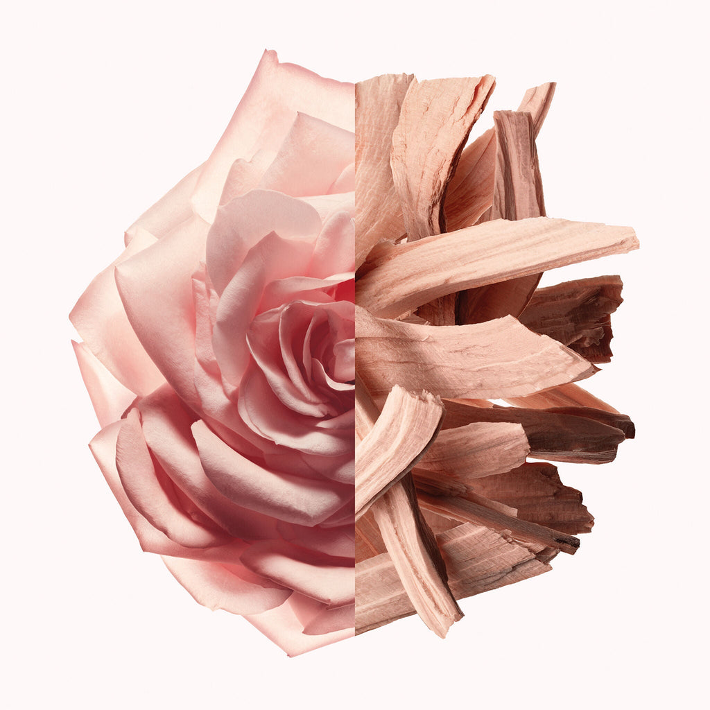 Givenchy Irresistible Nude Velvet by Givenchy at Tivor Egypt - product image 2
