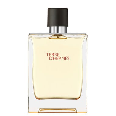 Hermès Terre d'Hermès Eau de Toilette - 200ml - Hermès
