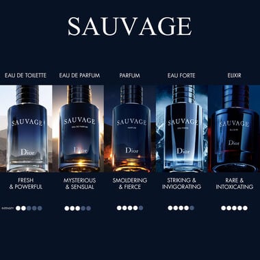 Dior Sauvage Eau De Toilette - 200ml - Dior