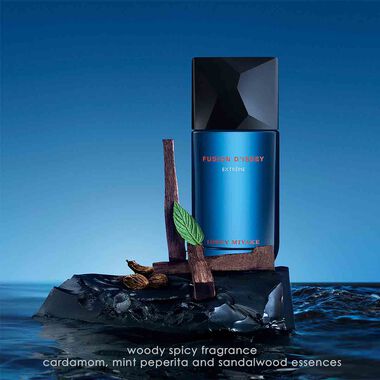 Issey Miyake Fusion d'Issey Eau de Ttoilette Intense - 100ml - Issey Miyake