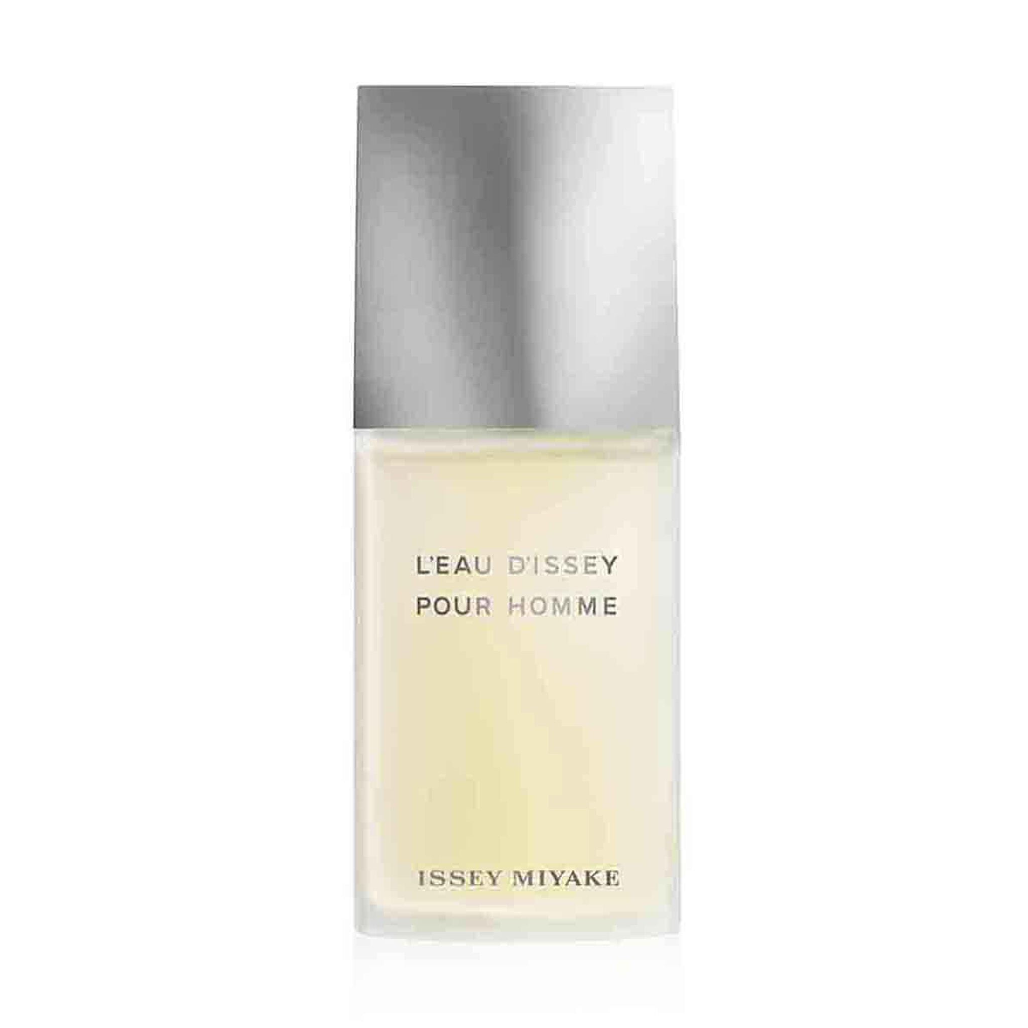 Issey Miyake L'Eau d'Issey Pour Homme Spray Eau de Toilette by Issey Miyake at Tivor Egypt - product image 1