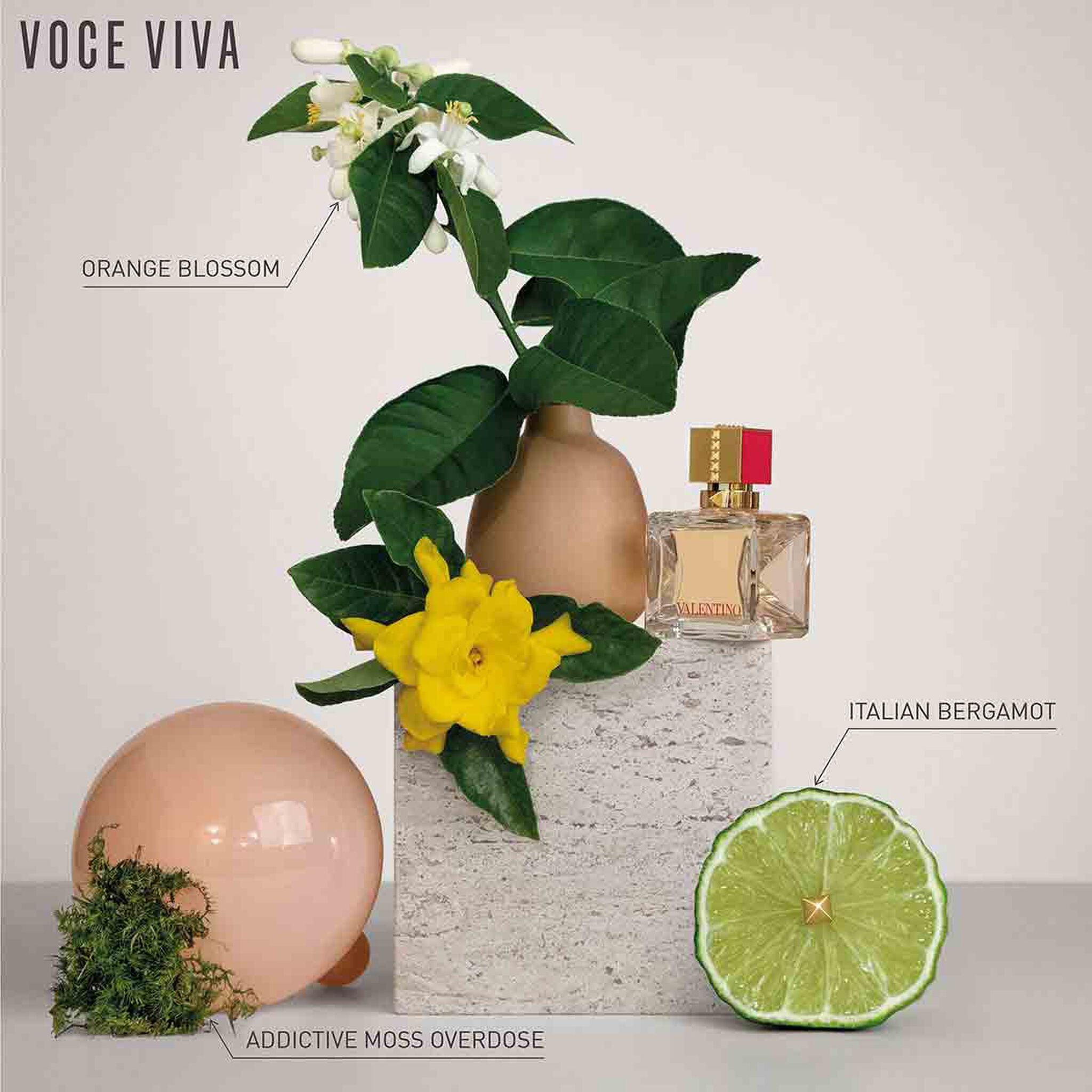 Valentino Voce Viva Eau de Parfum by Valentino at Tivor Egypt - product image 3