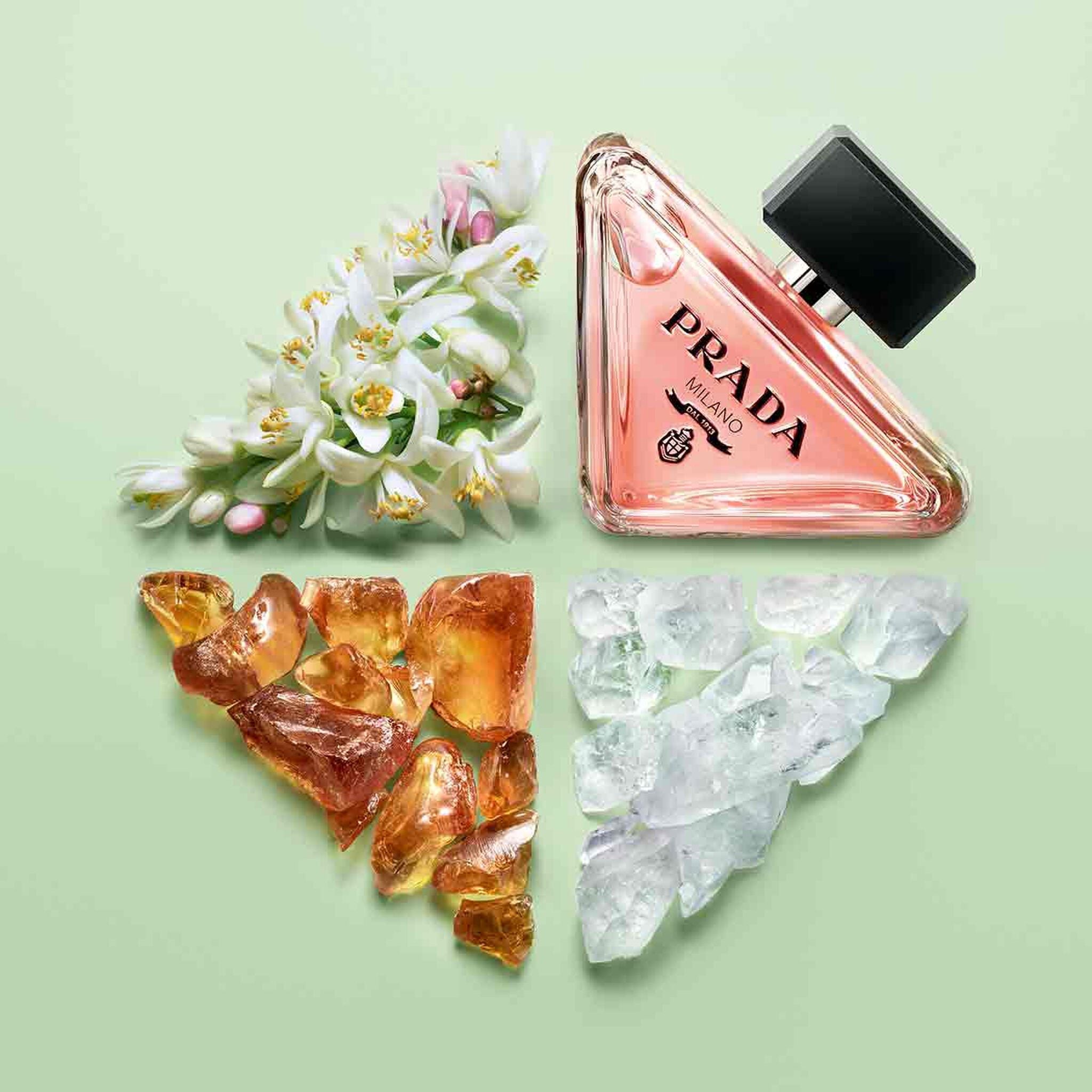 Prada Paradoxe Eau de Parfum by Prada at Tivor Egypt - product image 3
