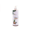 Raw African Pinacolada Shower Gel 500ML - Raw African