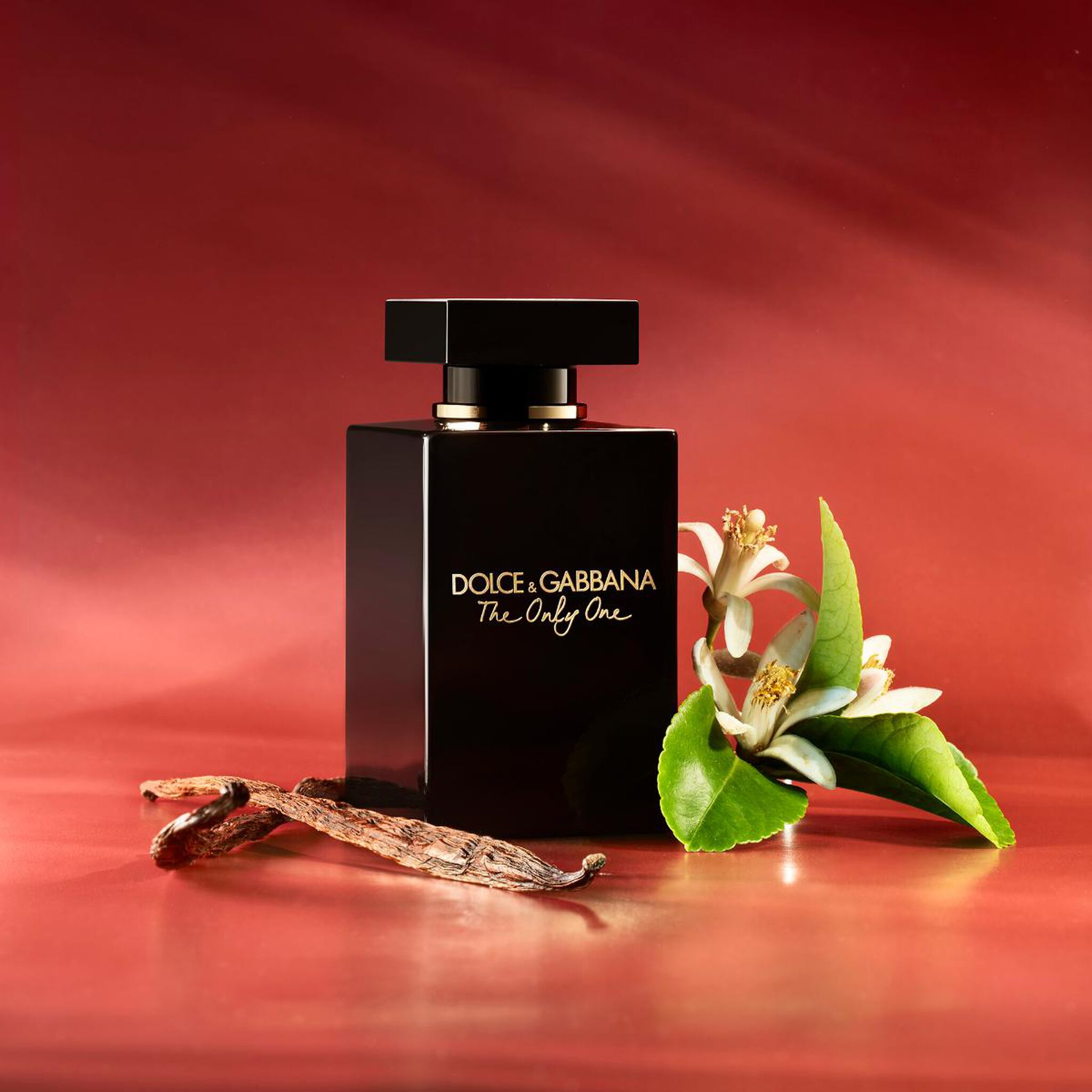Dolce & Gabbana Too Edpi by Dolce & Gabbana at Tivor Egypt - product image 3