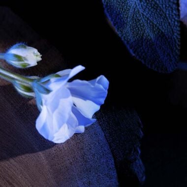 Yves Saint Laurent Y Men Eau de Parfum - 100ml - Yves Saint Laurent